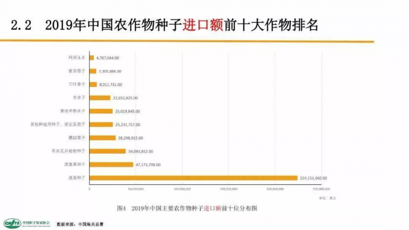 中國每年進(jìn)口7萬噸“洋種子”：14億人的飯碗，能端穩(wěn)嗎？