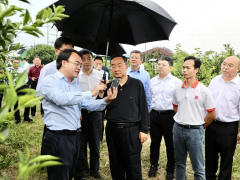 唐仁健：做大做強特色產業，扎實推進鄉村建設