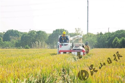 農(nóng)機(jī)助力我市稻米全程不落地