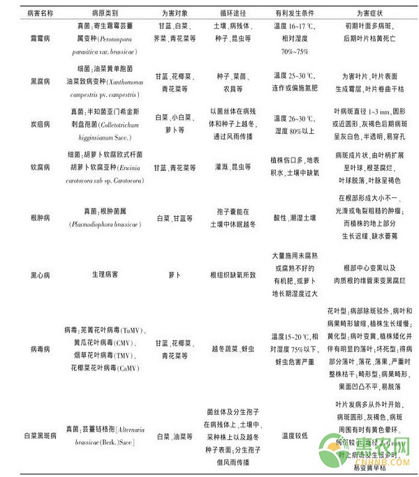 十字花科蔬菜常見病蟲害及生物防治技術