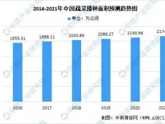 【創業復盤】搞農業，多大規模合適？