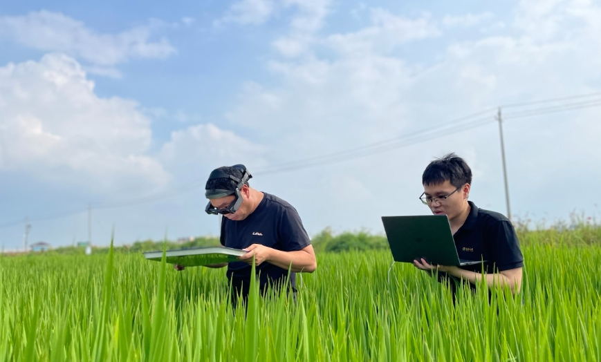 農業ＡＲ眼鏡為智慧植保鍛造“火眼金睛”